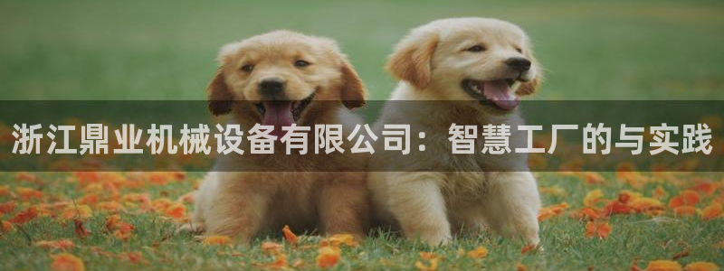 琳琅娱乐a