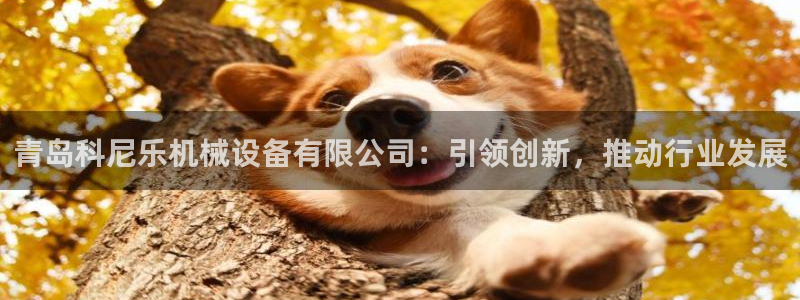 琳琅谈娱乐