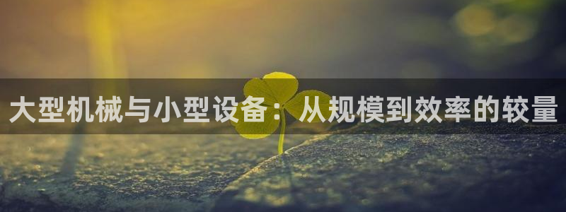 琳琅满目的娱乐设施