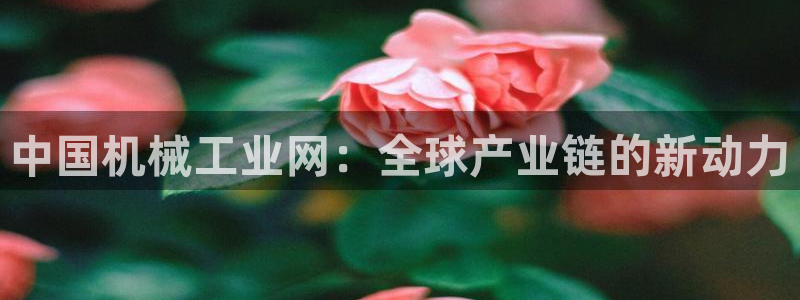 琳琅娱乐代理人是谁