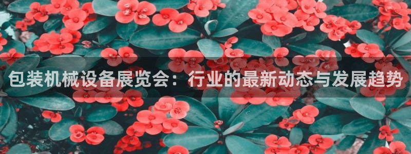 琳琅娱乐工作室