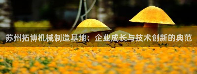 琳琅娱乐社区