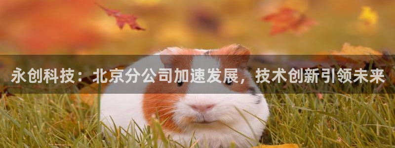 琳琅娱乐在哪直播的
