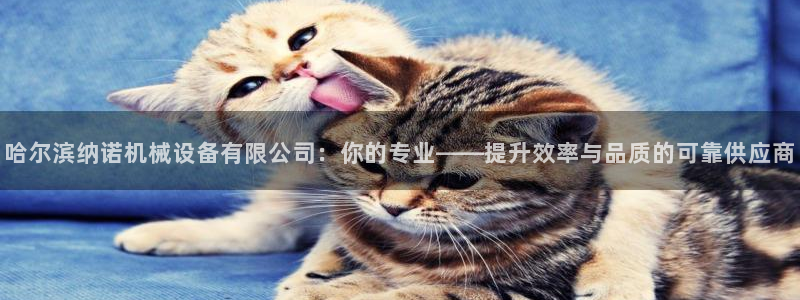 琳琅娱乐社区