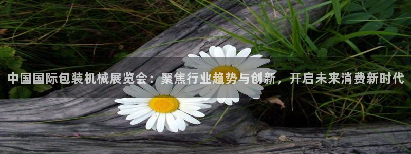 娱乐从琳琅榜开始