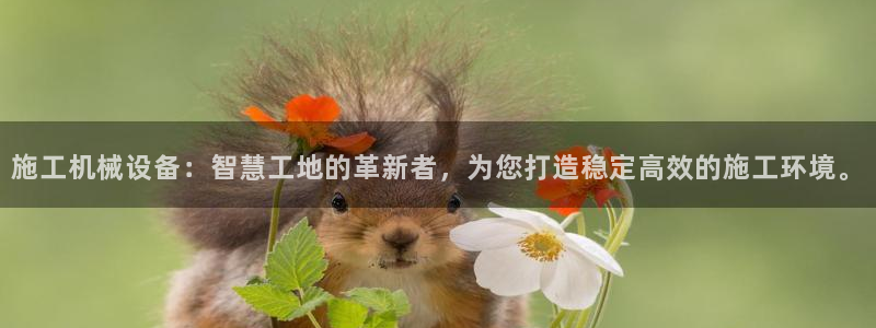 琳琅娱乐官网