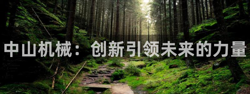 琳琅满目的娱乐设施