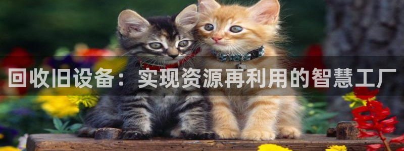 琳琅娱乐登入
