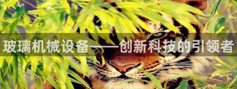 琳琅国际娱乐会所地址