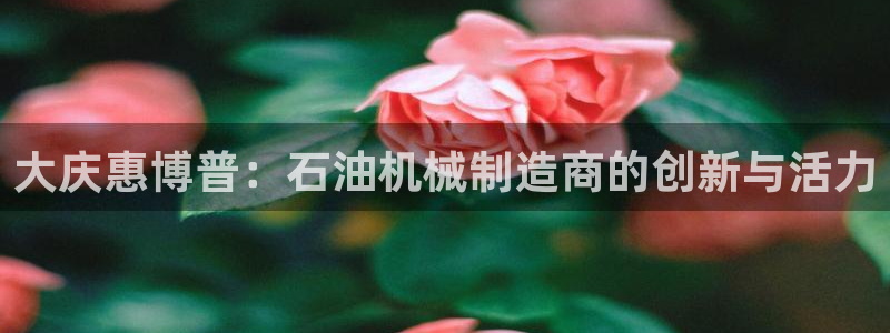 琳琅娱乐在线观看