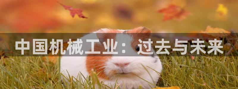 琳琅娱乐工作室怎么样