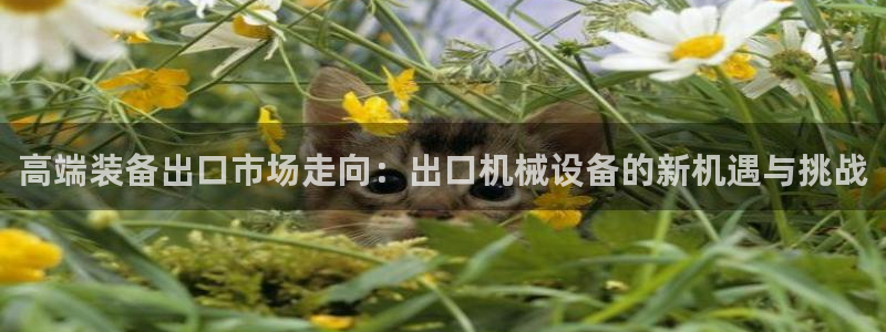 琳琅娱乐在线观看