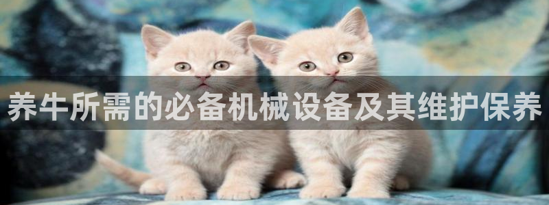 琳琅娱乐怎么样