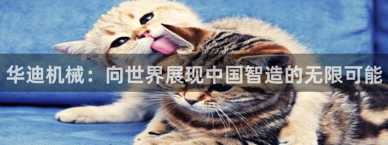 琳琅娱乐代理