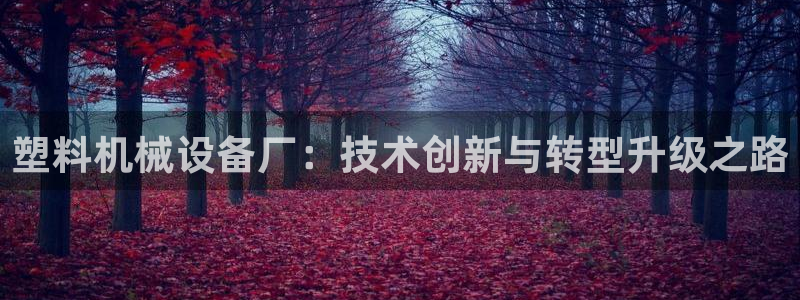 琳琅娱乐组飞车