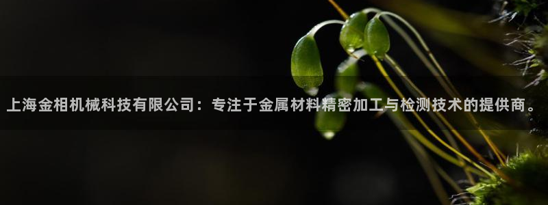 青娱娱乐琳琅导航