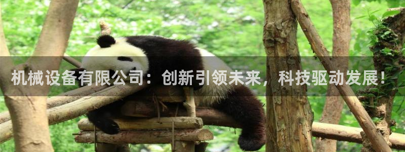 琳琅科技娱乐
