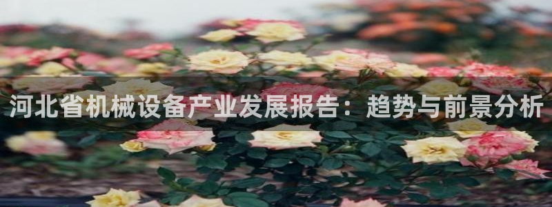 琳琅娱乐工作室怎么样