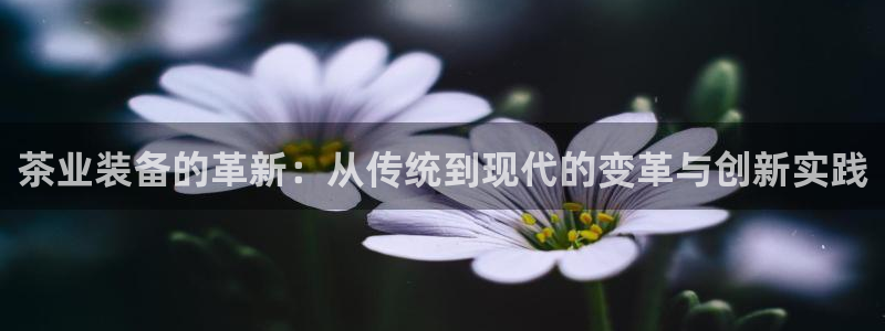 琳琅娱乐在线观看