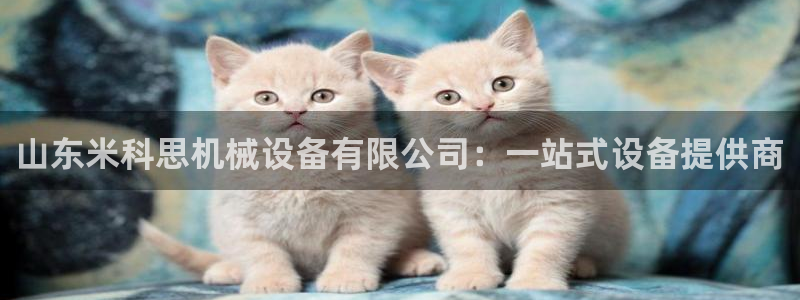 琳琅娱乐足球