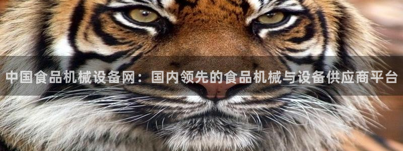 琳琅娱乐怎么样