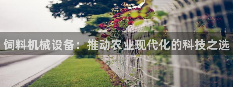 琳琅科技娱乐机器人