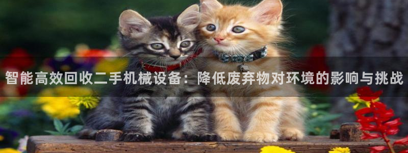 杭州琳琅互动娱乐