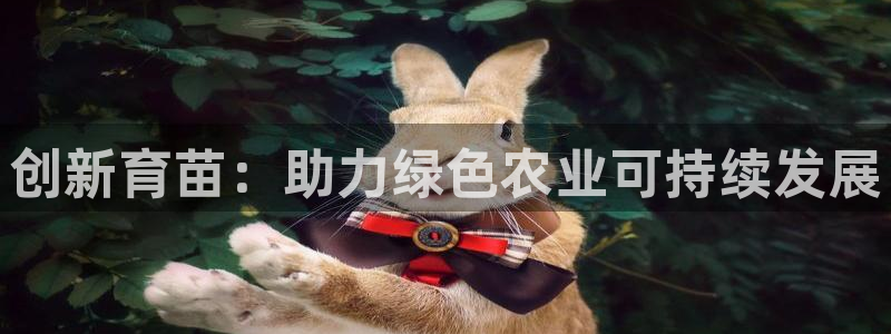 琳琅科技娱乐机器