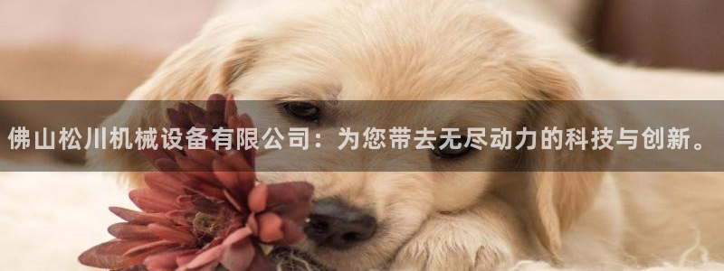 琳琅娱乐代理注册