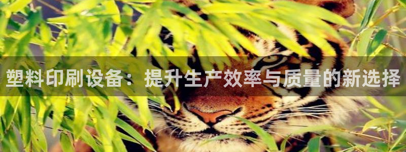琳琅作者娱乐圈女主