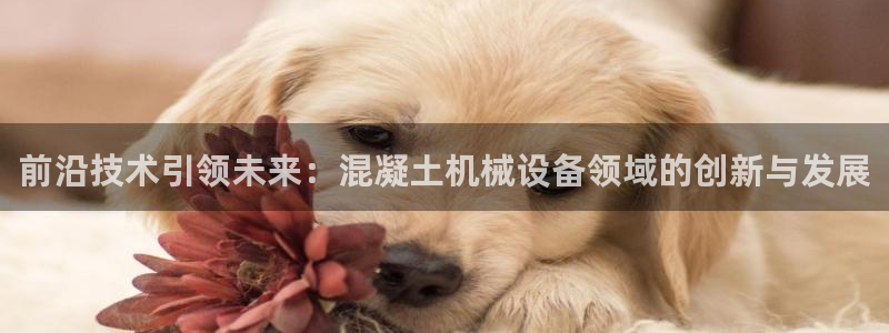 qq飞车琳琅娱乐组