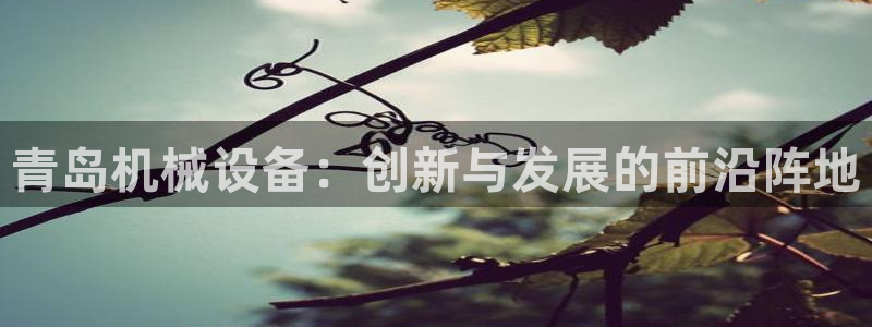 琳琅娱乐天美2