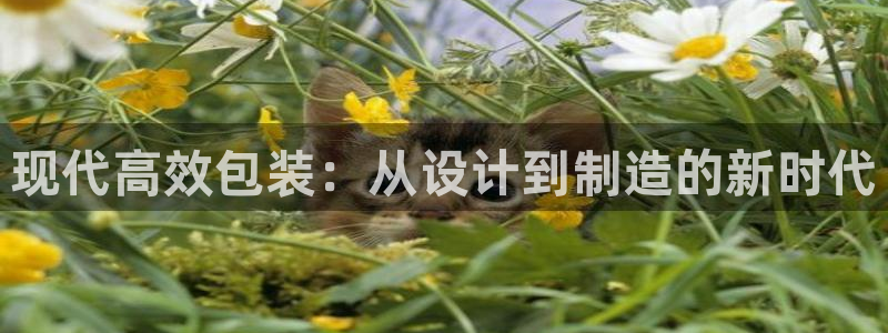 琳琅科技娱乐机器人下载