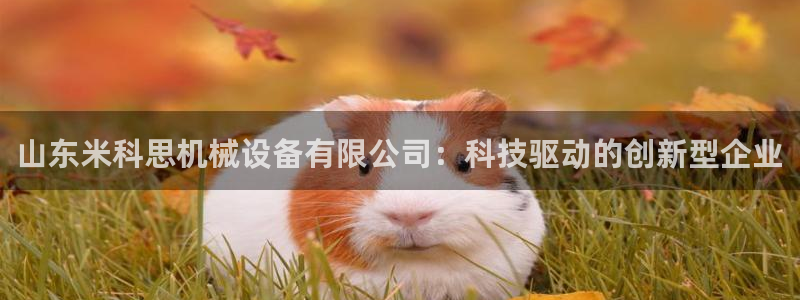 琳琅娱乐平台是真的吗