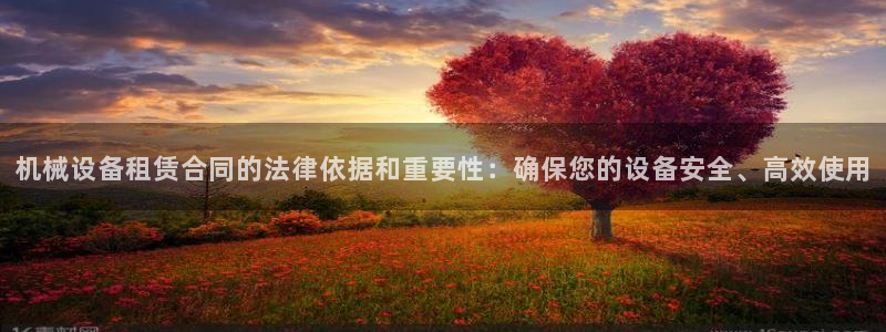 琳琅娱乐在哪直播