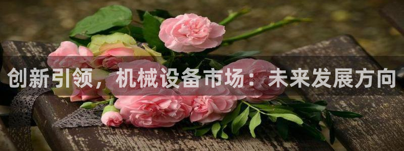 琳琅满目的娱乐设施