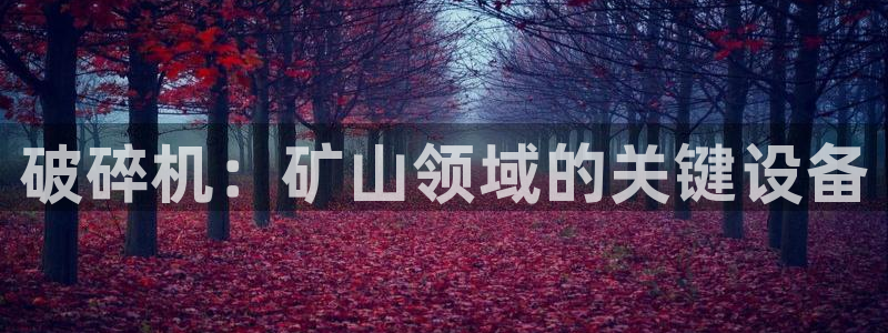 琳琅娱乐平台怎么样