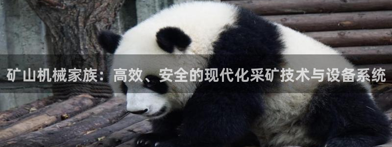 娱乐从琳琅榜开始的小说