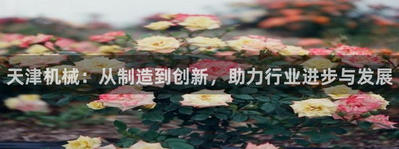 qq琳琅科技娱乐机器人