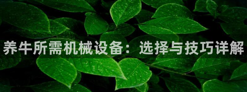 琅琳琅娱乐社区