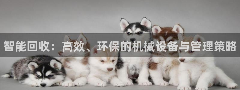 琳琅娱乐工作室招聘电话